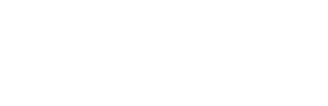ZOOMLION